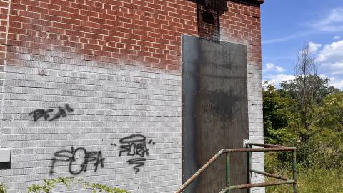 July 2024 - IMG_9836.jpg