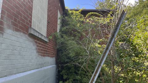 July 2024 - IMG_9837.jpg