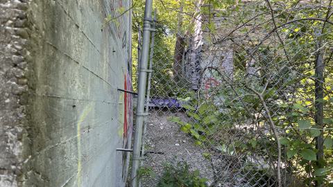 July 2024 - IMG_9838.jpg