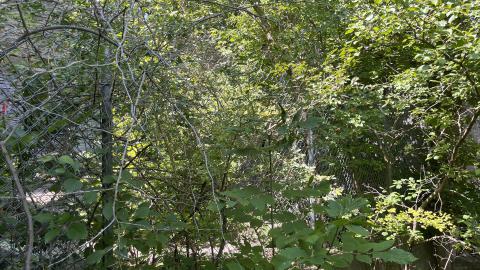 July 2024 - IMG_9839.jpg