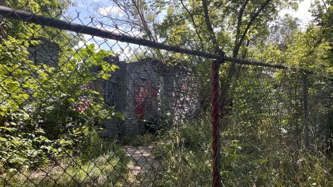 July 2024 - IMG_9840.jpg