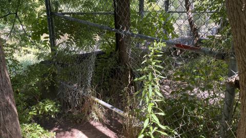 July 2024 - IMG_9841.jpg