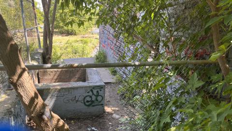 July 2024 - IMG_9842.jpg