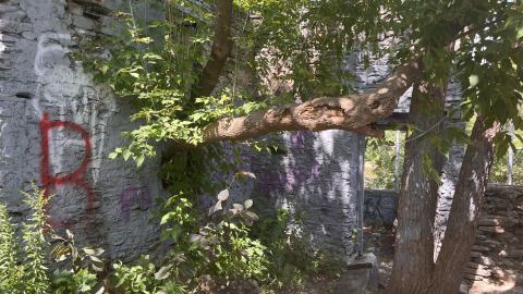 July 2024 - IMG_9844.jpg