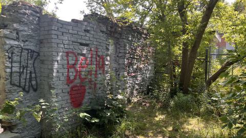 Photo from July 2024