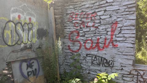 July 2024 - IMG_9846.jpg