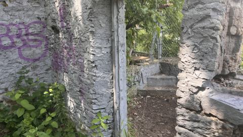 July 2024 - IMG_9849.jpg