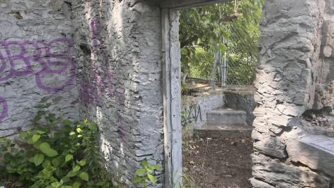 July 2024 - IMG_9848.jpg