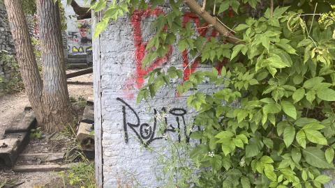 Photo from July 2024