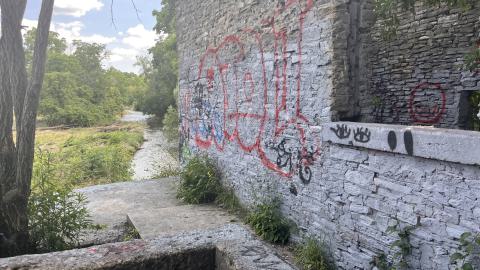 Photo from July 2024