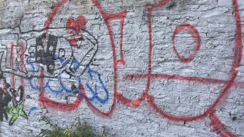 Photo from July 2024