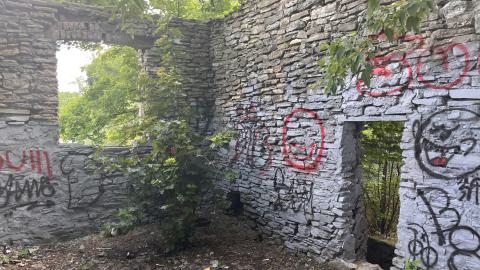 July 2024 - IMG_9854.jpg