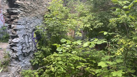 July 2024 - IMG_9856.jpg