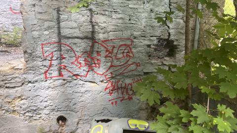 July 2024 - IMG_9857.jpg