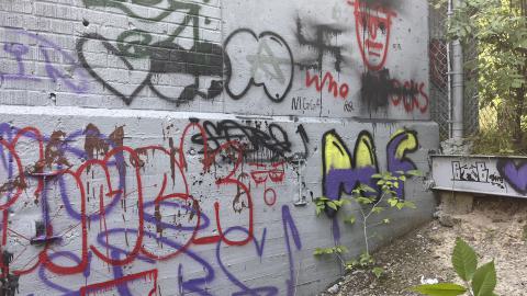 July 2024 - IMG_9855.jpg