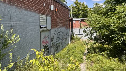 July 2024 - IMG_9826.jpg