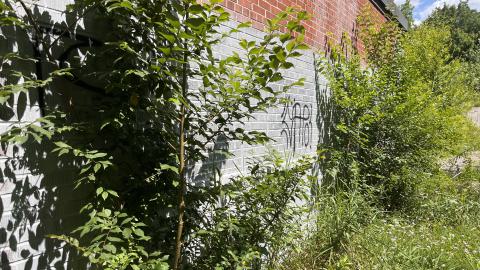 July 2024 - IMG_9827.jpg