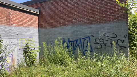 July 2024 - IMG_9828.jpg