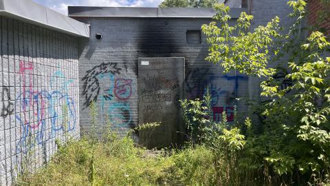 July 2024 - IMG_9831.jpg