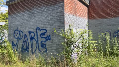 July 2024 - IMG_9829.jpg