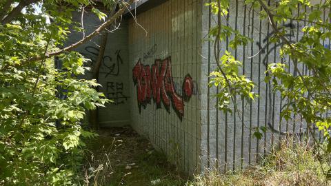 July 2024 - IMG_9832.jpg