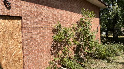 Exterior - IMG_9863.jpg