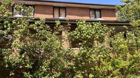 Exterior - IMG_9870.jpg