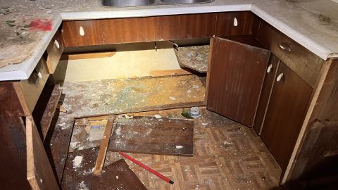 Cool lil House - IMG_9879.jpg