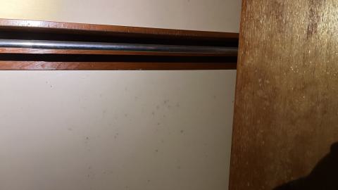 Cool lil House - IMG_9886.jpg