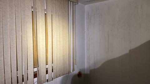 Cool lil House - IMG_9891.jpg