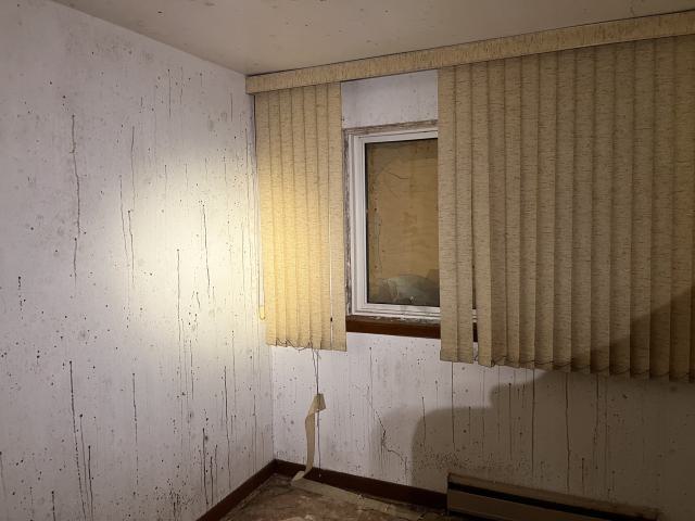 The Ninth Line photo 4