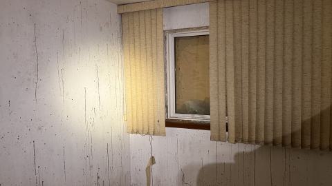 Cool lil House - IMG_9894.jpg