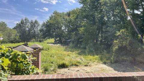 Cool lil House - IMG_9898.jpg