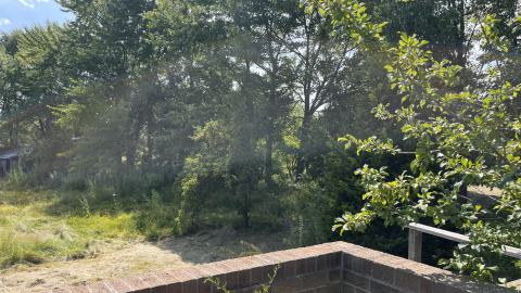 Cool lil House - IMG_9897.jpg