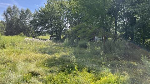 Cool lil House - IMG_9899.jpg