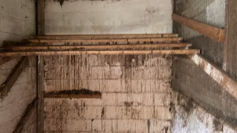 Cool lil House - IMG_9903.jpg