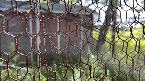 Cool lil House - IMG_9904.jpg