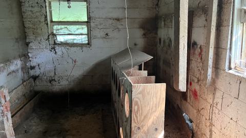 Cool lil House - IMG_9905.jpg