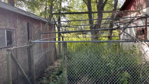 Cool lil House - IMG_9907.jpg