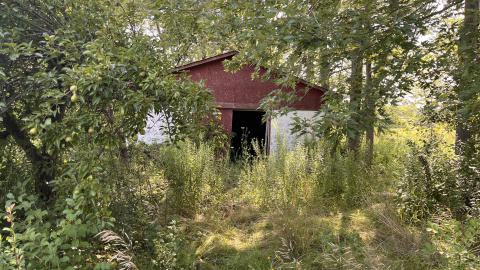 Cool lil House - IMG_9900.jpg