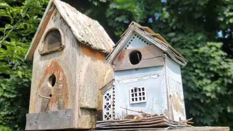 Mr. Chester and Mr. Northup - 20240721_122927.jpg