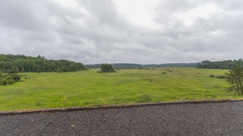 Shot from the roof (3)