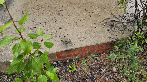 Devil's got a Shrine Down the 109 photo 3