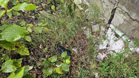 Devil's got a Shrine Down the 109 photo 4