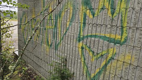 Opposite Paradise (lake) - 20240724_114935.jpg