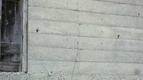 March 2012 - Brussels-Mill-Dam6.jpg