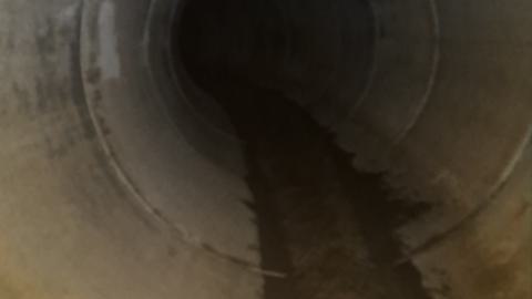 Cool tunnel - 1000010596.jpg