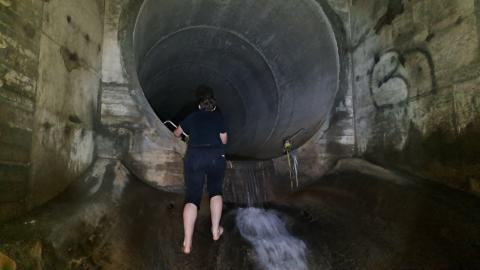Cool tunnel - 1000010605.jpg