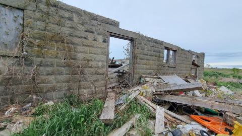 And then some - 0abde138-411f-49c3-b79b-8e26f6dd09c9-1_all_9991.jpg