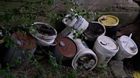 And then some - 0abde138-411f-49c3-b79b-8e26f6dd09c9-1_all_10035.jpg